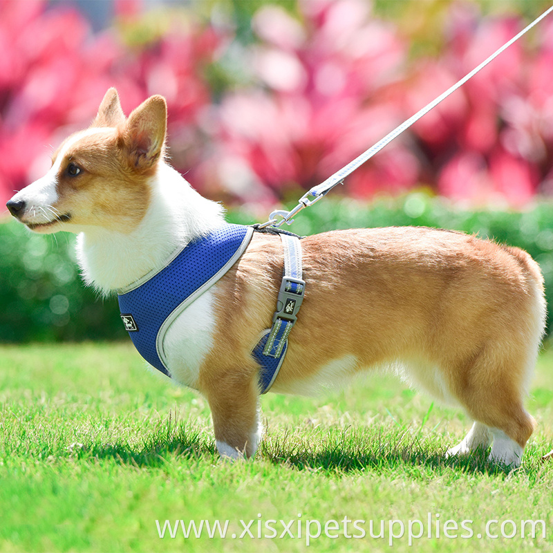 Enhanced Strength Best Front Range Pet Harness Large Dog Chest Belt